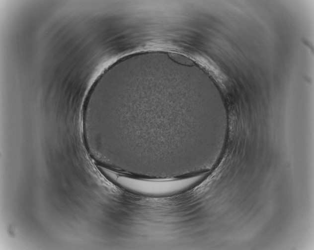 X0000098011280200804071318