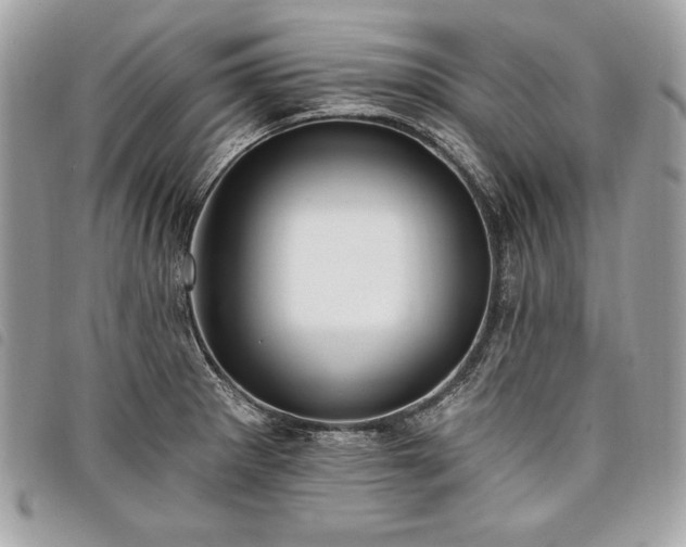 X0000098011281200804071318