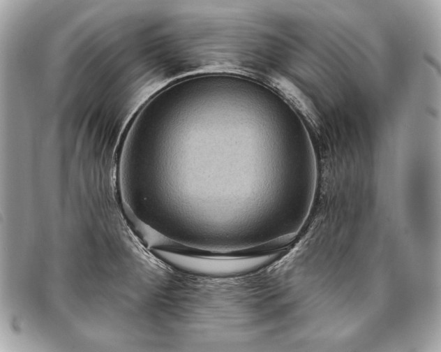 X0000098011284200804071318