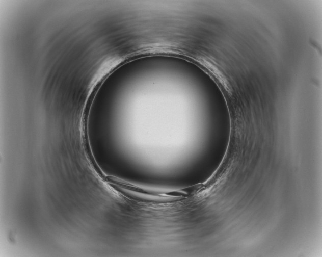 X0000098011285200804071318
