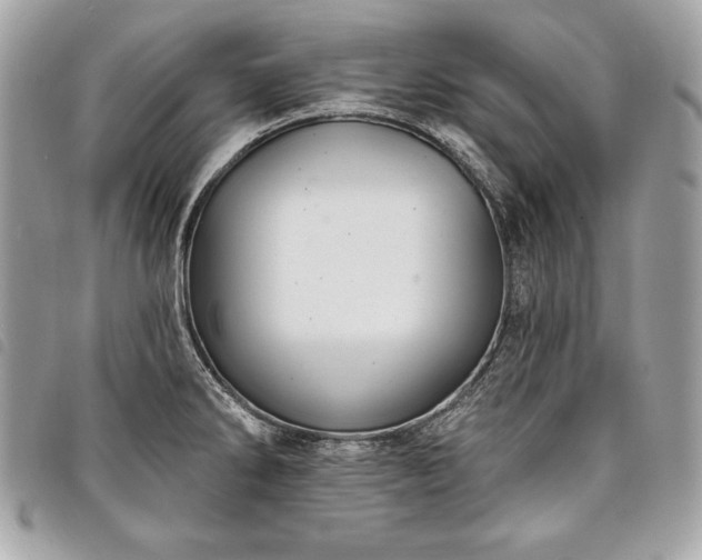 X0000098011286200804071318