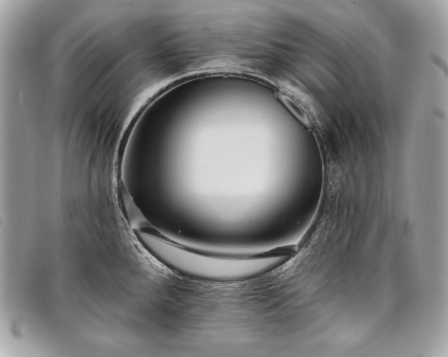X0000098011288200804071318
