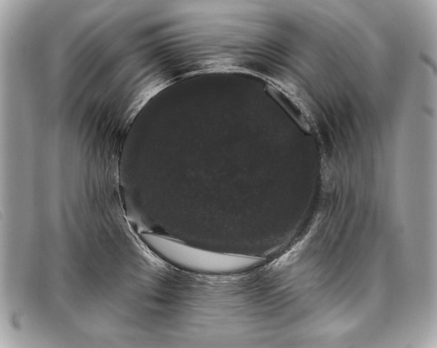 X0000098011289200804071318