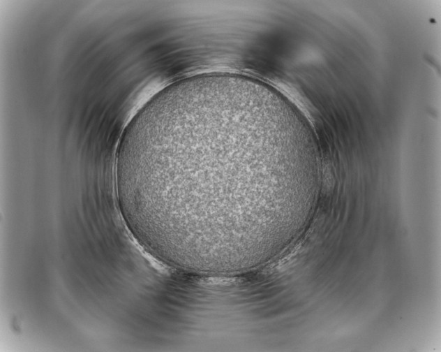 X0000098011290200804071318
