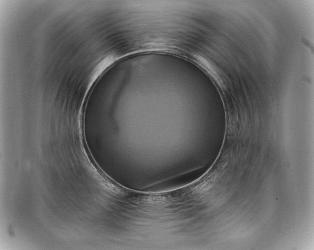 X0000098011291200804071318