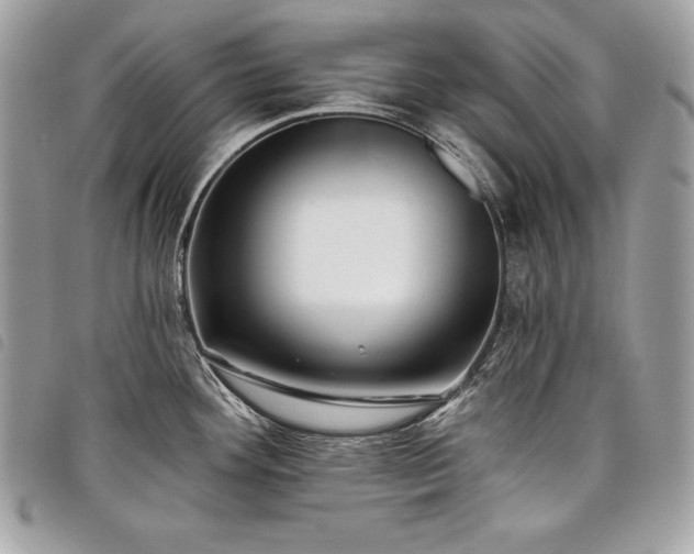 X0000098011292200804071318