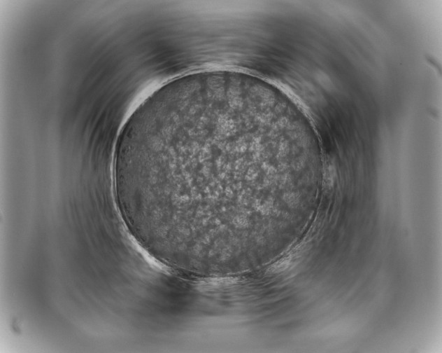 X0000098011294200804071318