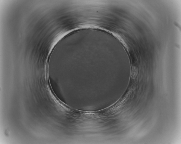 X0000098011295200804071318