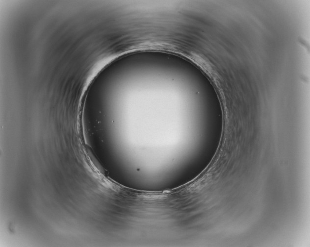 X0000098011296200804071318