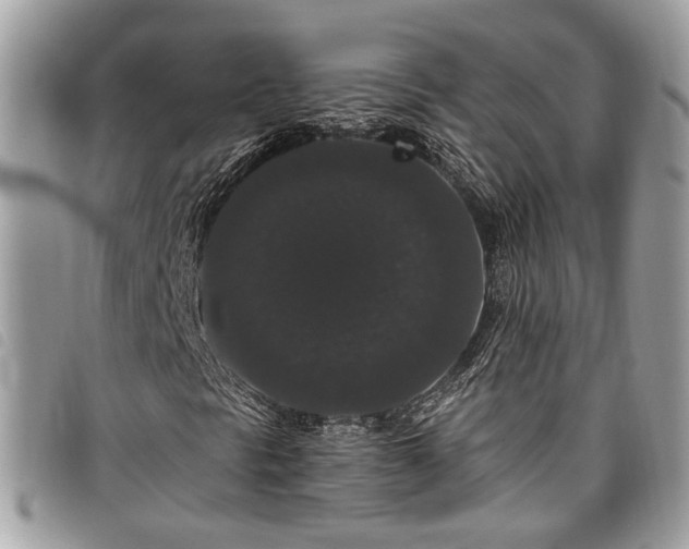 X0000098011297200804071317