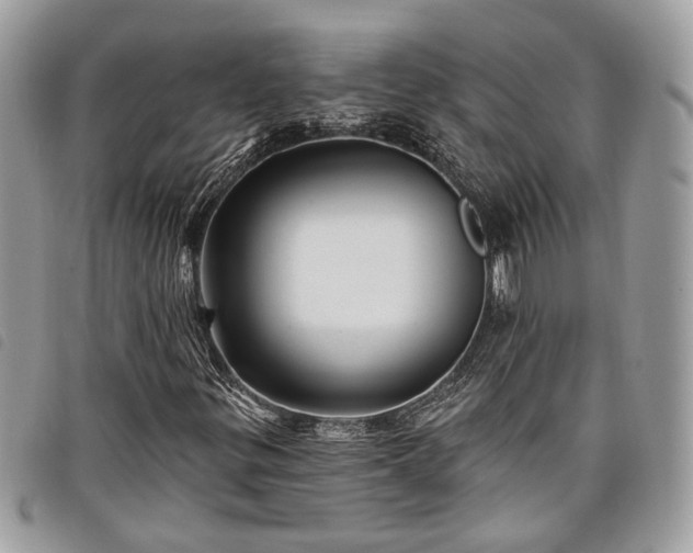 X0000098011299200804071317