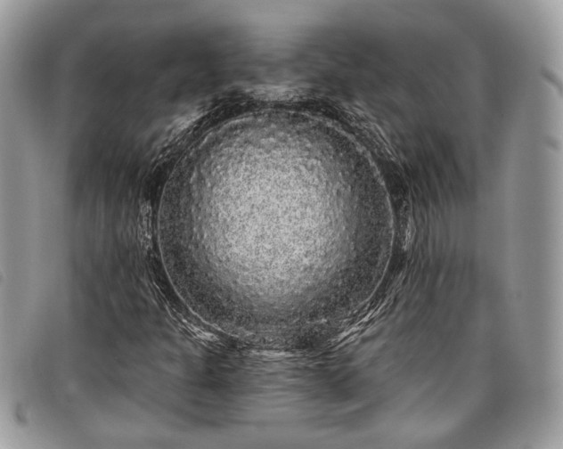 X0000098011301200804071317