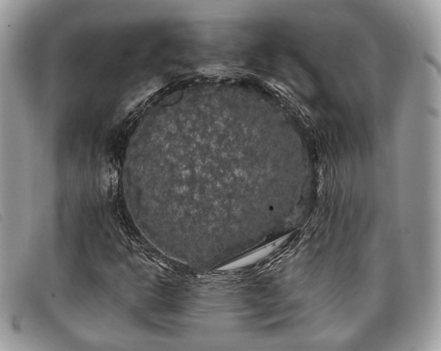X0000098011302200804071317