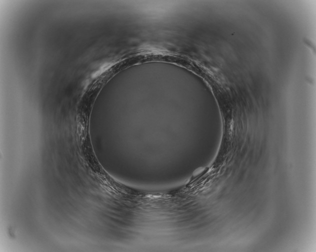 X0000098011303200804071317