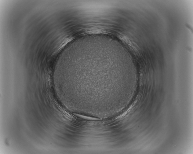 X0000098011305200804071317
