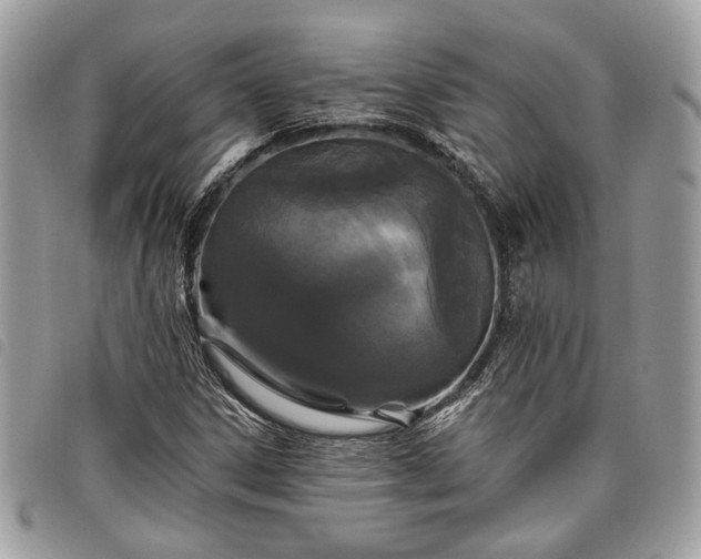 X0000098011306200804071317