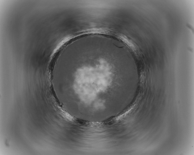 X0000098011310200804071317