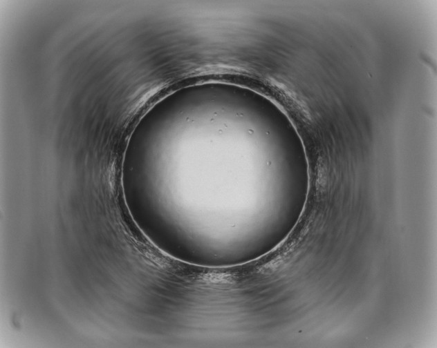 X0000098011313200804071317