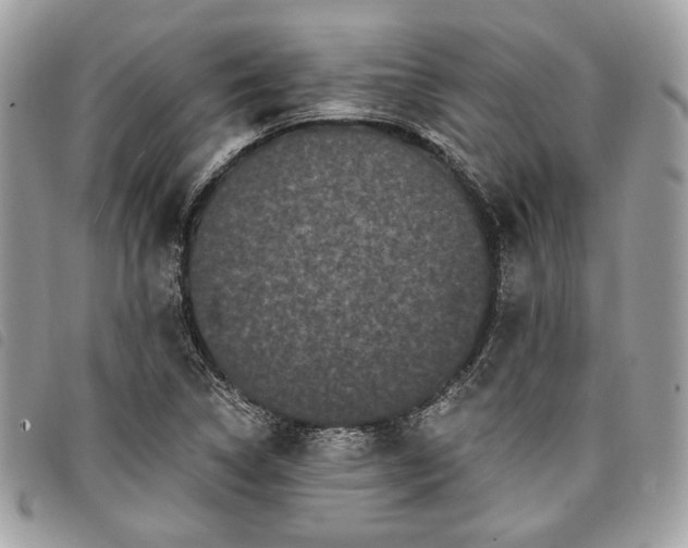 X0000098011314200804071318