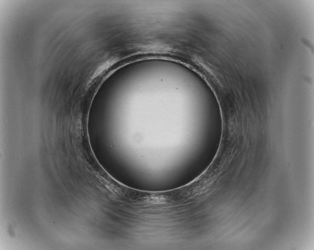 X0000098011315200804071318
