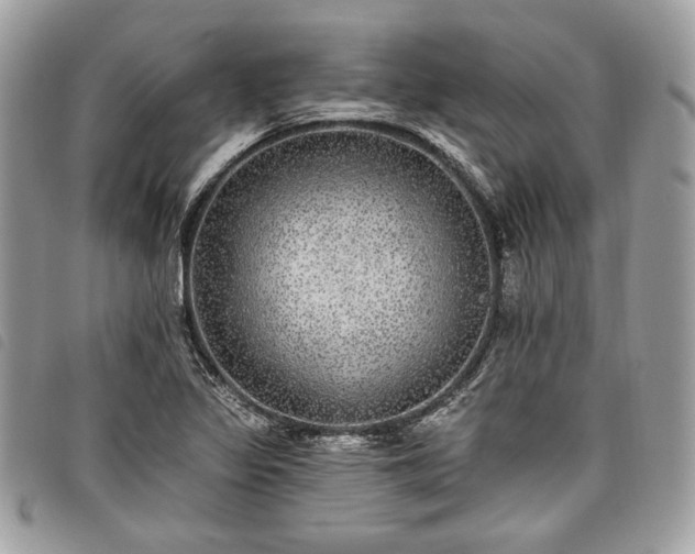 X0000098011317200804071318
