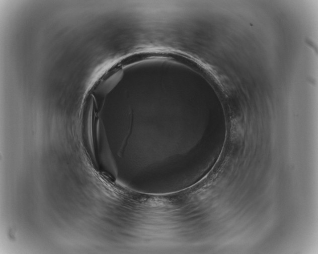 X0000098011319200804071318