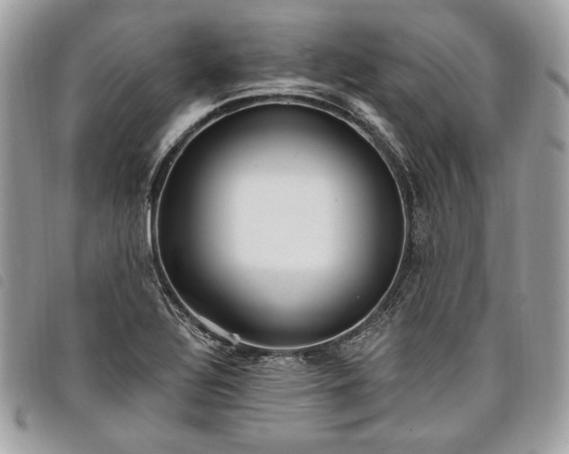 X0000098011320200804071318