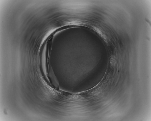X0000098011323200804071318