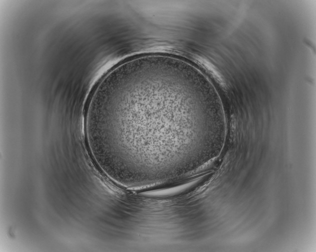 X0000098011324200804071318