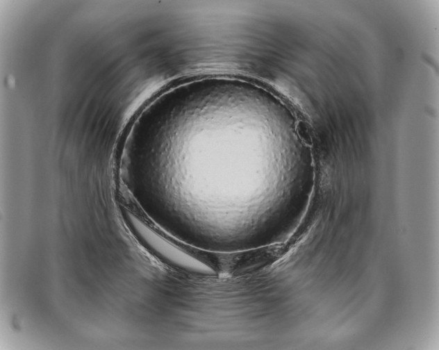 X0000098011325200804071318