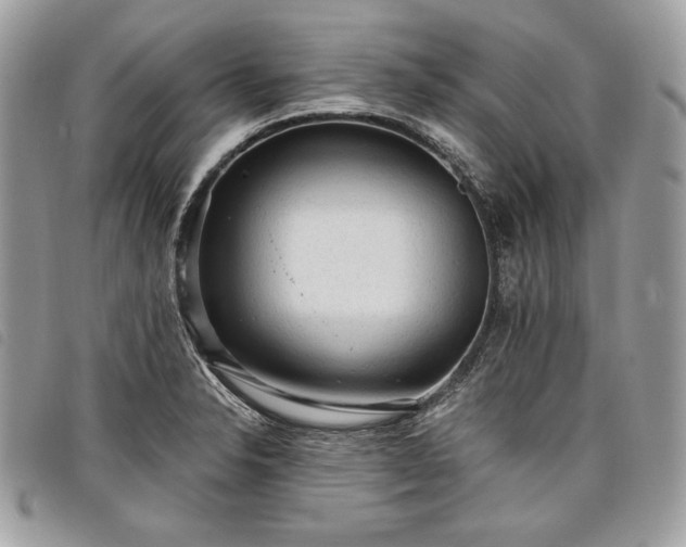 X0000098011326200804071318