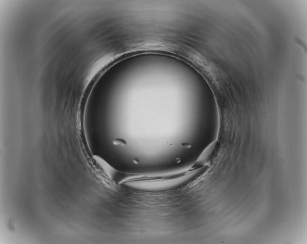 X0000098011328200804071318