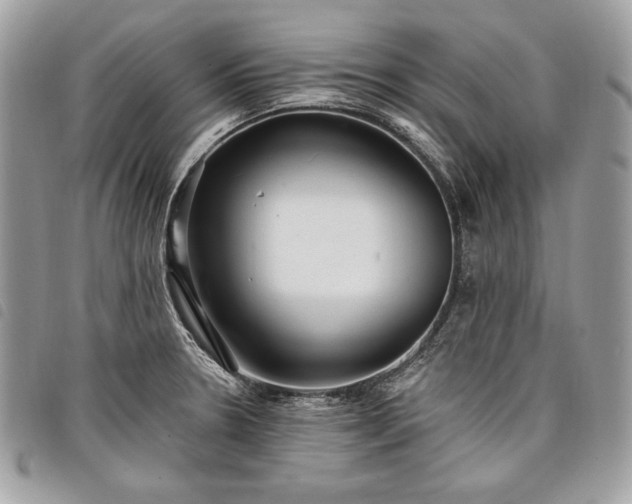 X0000098011330200804071318