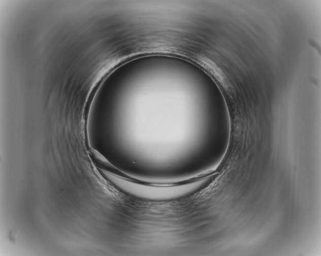 X0000098011332200804071318
