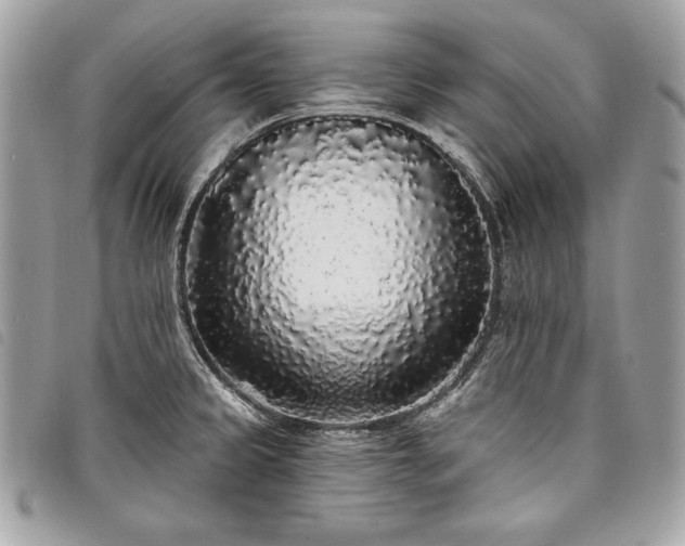 X0000098011333200804071318