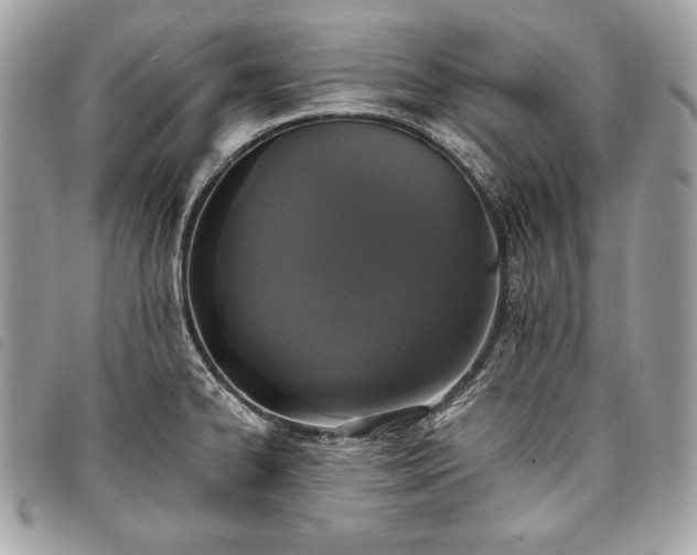 X0000098011334200804071318
