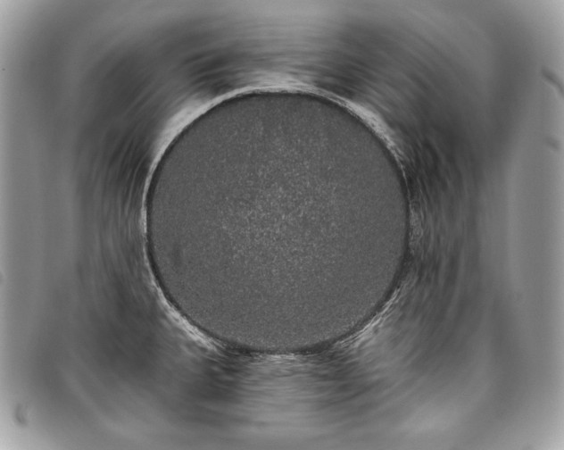 X0000098011335200804071318