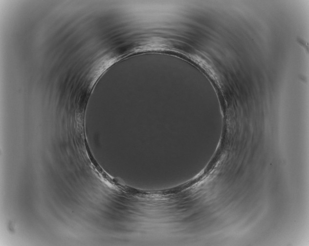 X0000098011337200804071318