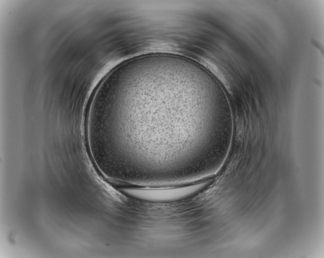 X0000098011339200804071318