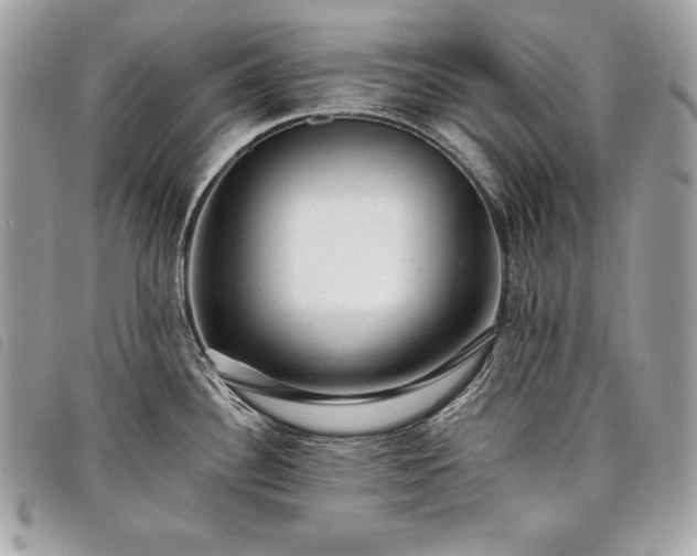 X0000098011340200804071318