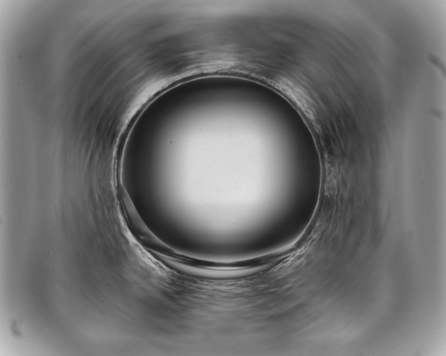 X0000098011342200804071318