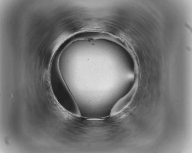 X0000098011344200804071318