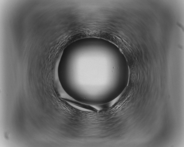 X0000098011345200804071317