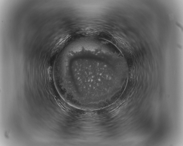 X0000098011346200804071317