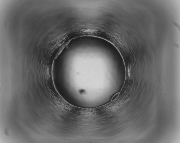 X0000098011347200804071317