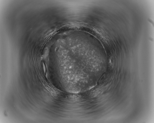 X0000098011348200804071317