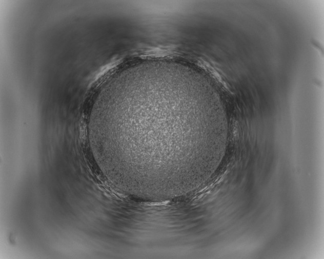 X0000098011350200804071317