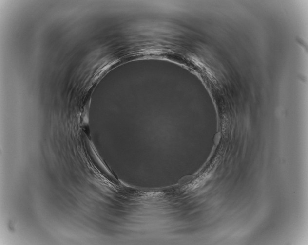 X0000098011353200804071317