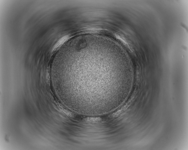 X0000098011354200804071317