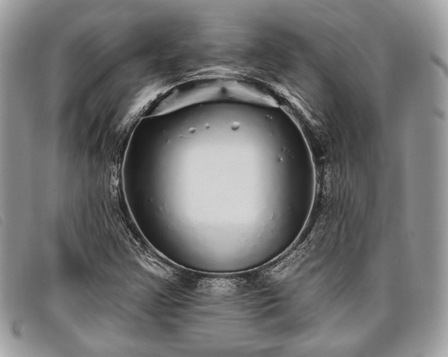 X0000098011355200804071317